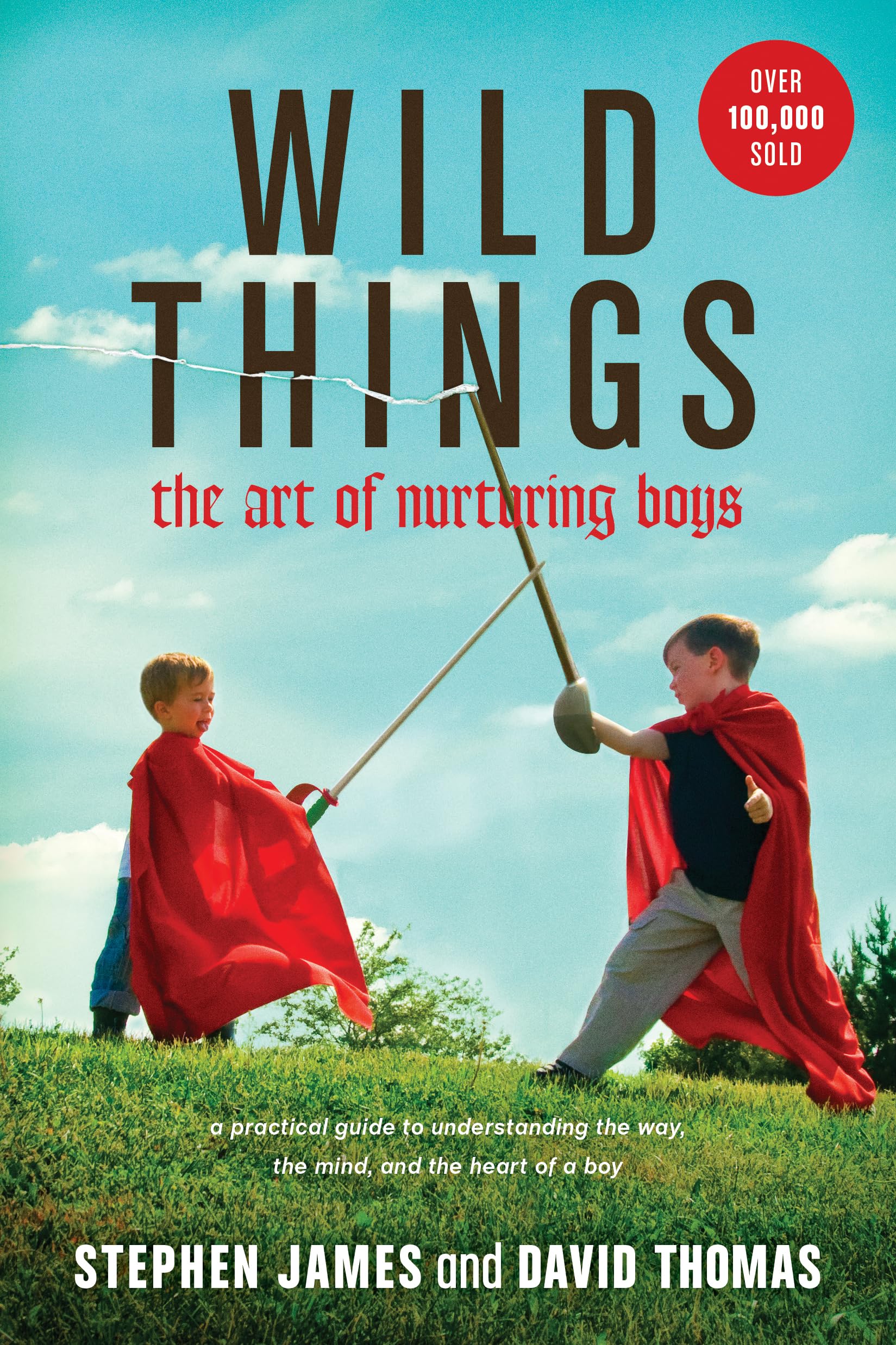 Wild Things: The Art of Nurturing Boys: James, Stephen, Thomas